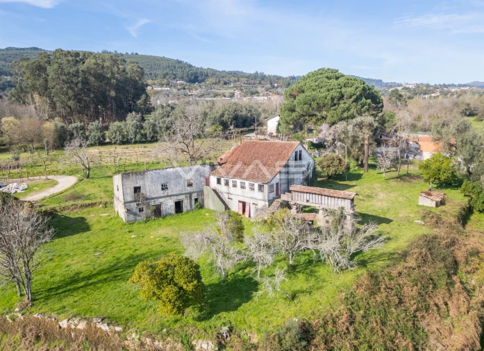 Quinta T0 para Venda em Pico de Regalados, Gondiães e Mós Foto 5