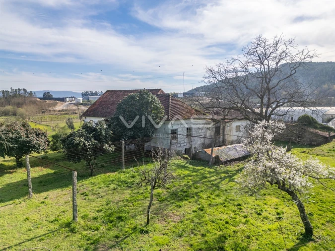 Quinta T0 para Venda em Pico de Regalados, Gondiães e Mós Foto 10
