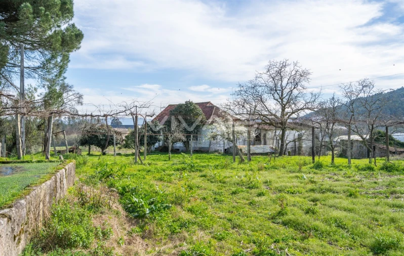 Quinta T0 para Venda em Pico de Regalados, Gondiães e Mós Foto 25