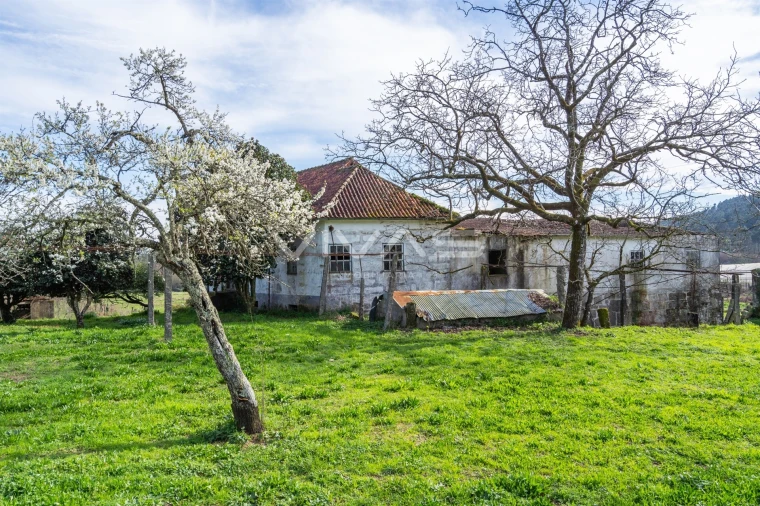 Quinta T0 para Venda em Pico de Regalados, Gondiães e Mós Foto 21