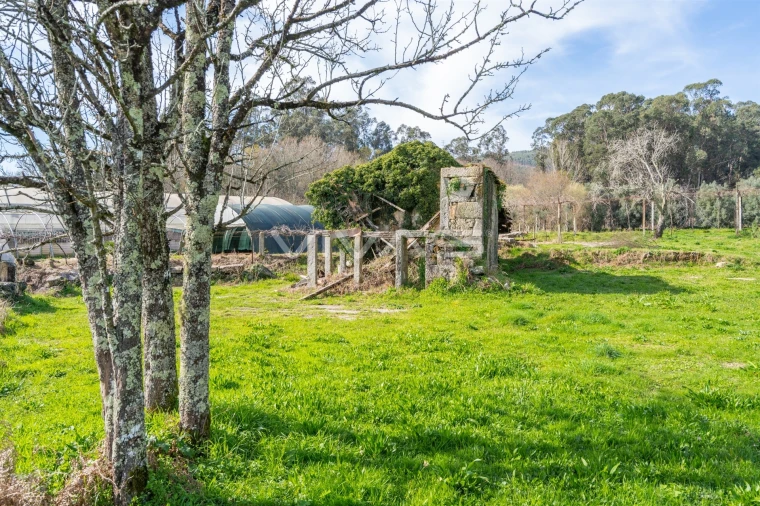 Quinta T0 para Venda em Pico de Regalados, Gondiães e Mós Foto 29