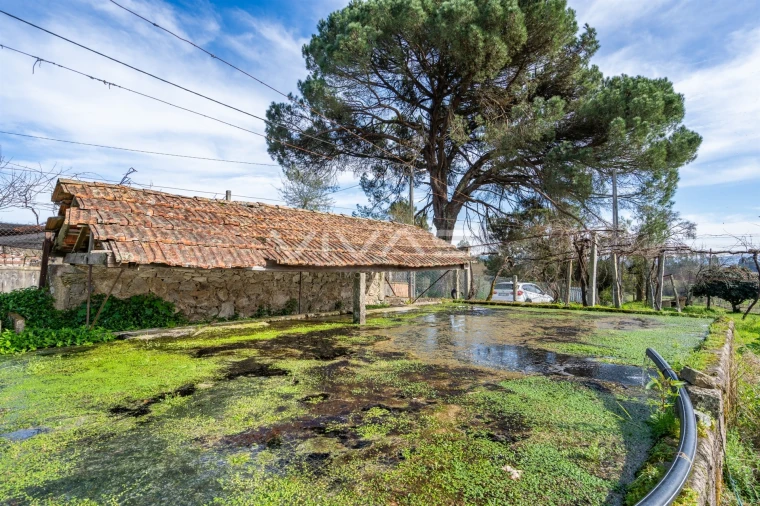 Quinta T0 para Venda em Pico de Regalados, Gondiães e Mós Foto 24