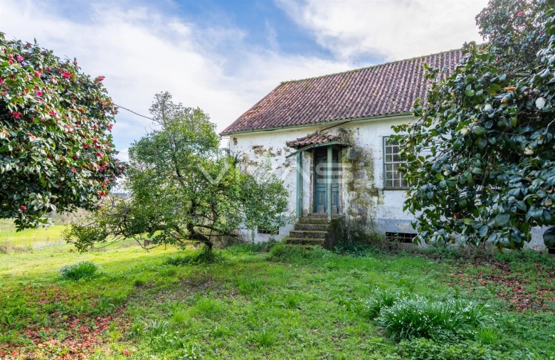 Quinta T0 para Venda em Pico de Regalados, Gondiães e Mós Foto 18