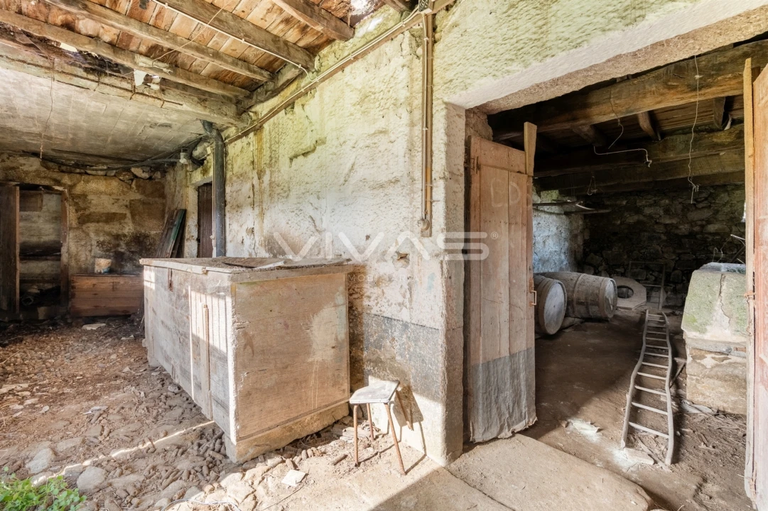 Quinta T0 para Venda em Pico de Regalados, Gondiães e Mós Foto 12