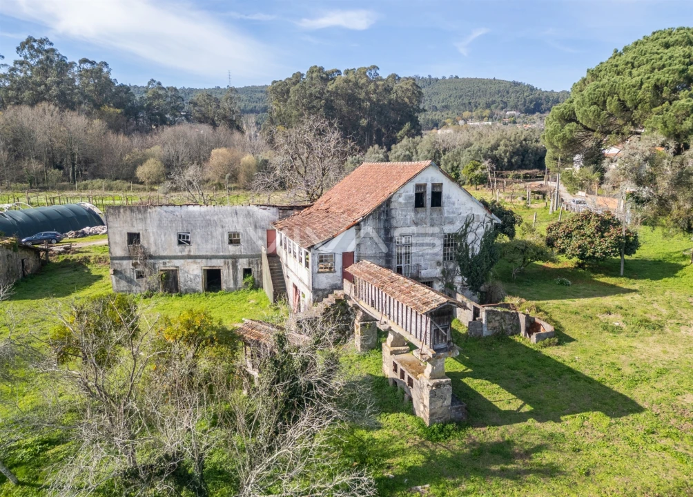Quinta T0 para Venda em Pico de Regalados, Gondiães e Mós Foto 9