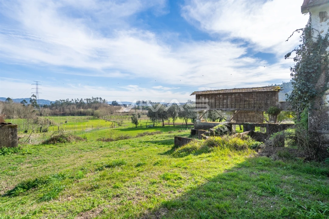 Quinta T0 para Venda em Pico de Regalados, Gondiães e Mós Foto 26