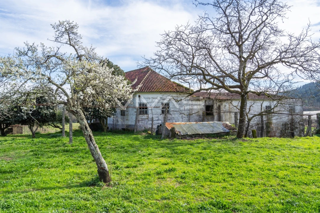 Quinta T0 para Venda em Pico de Regalados, Gondiães e Mós Foto 21
