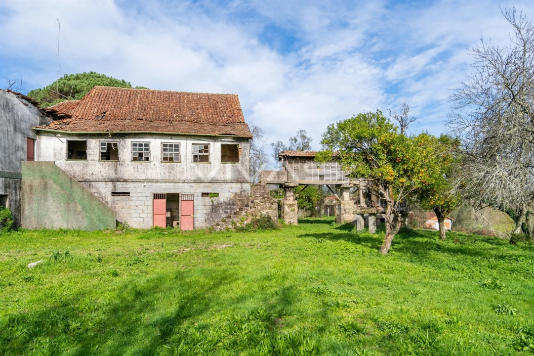Quinta T0 para Venda em Pico de Regalados, Gondiães e Mós Foto 33