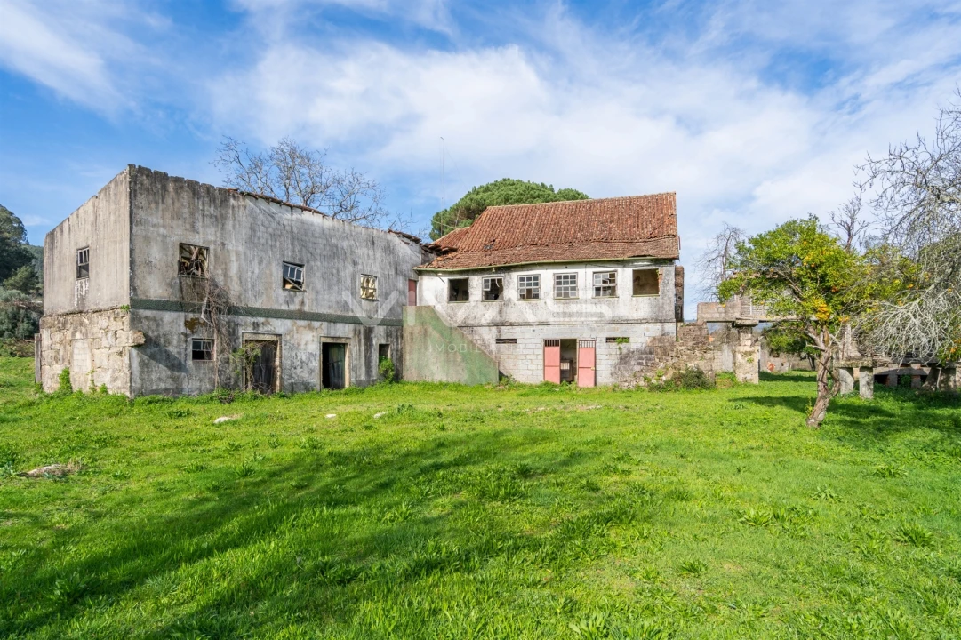 Quinta T0 para Venda em Pico de Regalados, Gondiães e Mós Foto 30