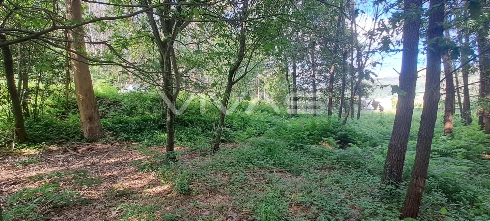 Terreno para Venda em Sande, Vilarinho, Barros e Gomide Foto 5