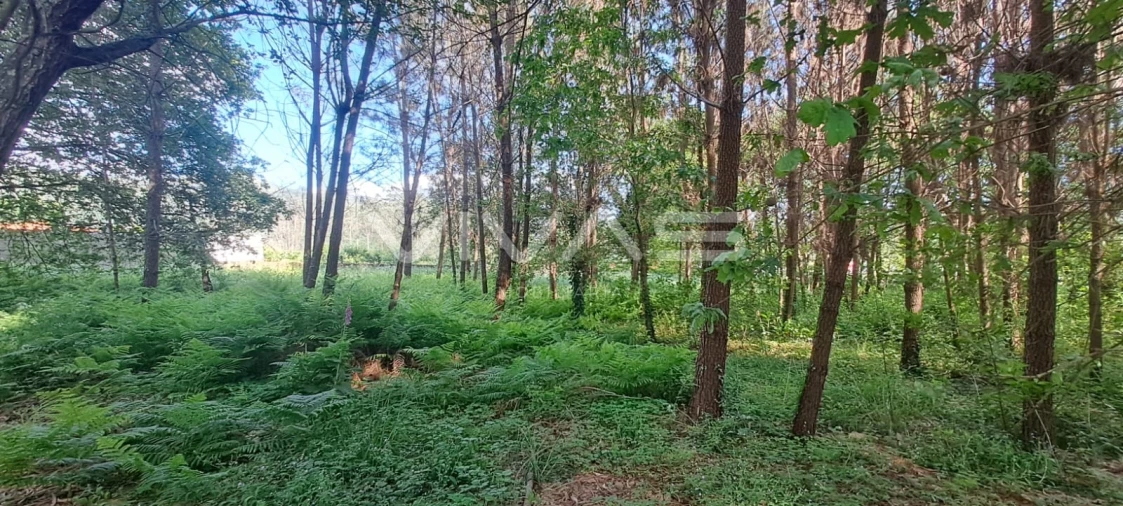 Terreno para Venda em Sande, Vilarinho, Barros e Gomide Foto 7