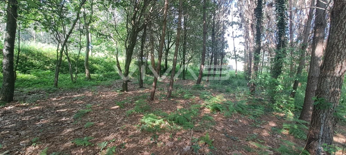 Terreno para Venda em Sande, Vilarinho, Barros e Gomide Foto 9