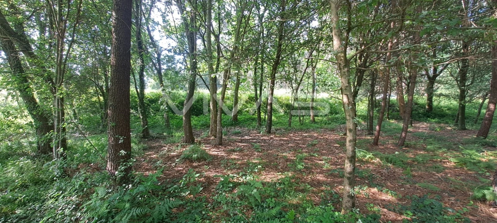 Terreno para Venda em Sande, Vilarinho, Barros e Gomide Foto 8