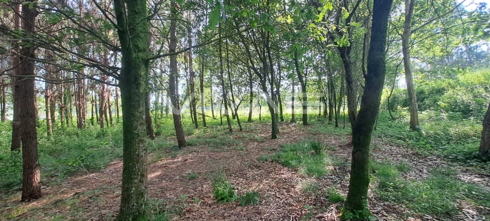 Terreno para Venda em Sande, Vilarinho, Barros e Gomide Foto 4