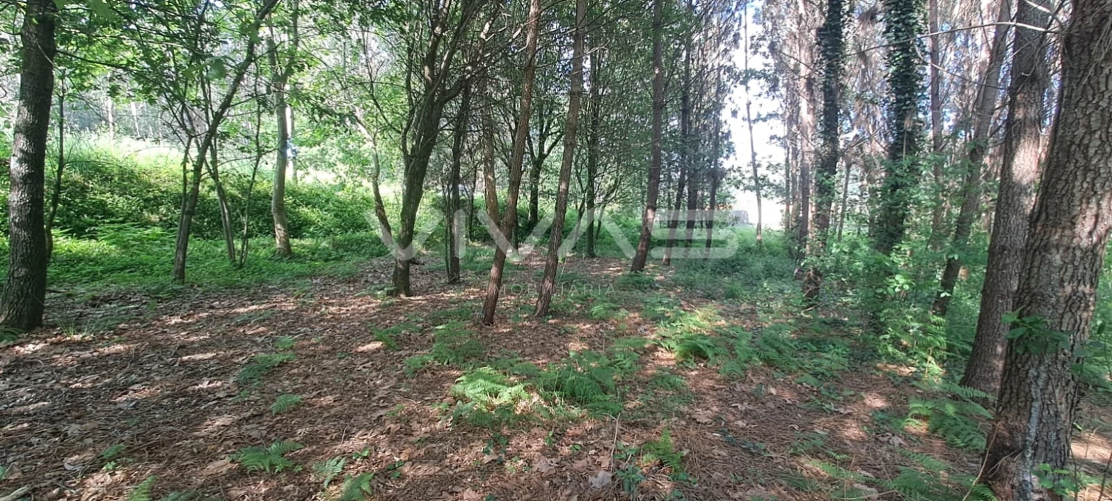 Terreno para Venda em Sande, Vilarinho, Barros e Gomide Foto 9