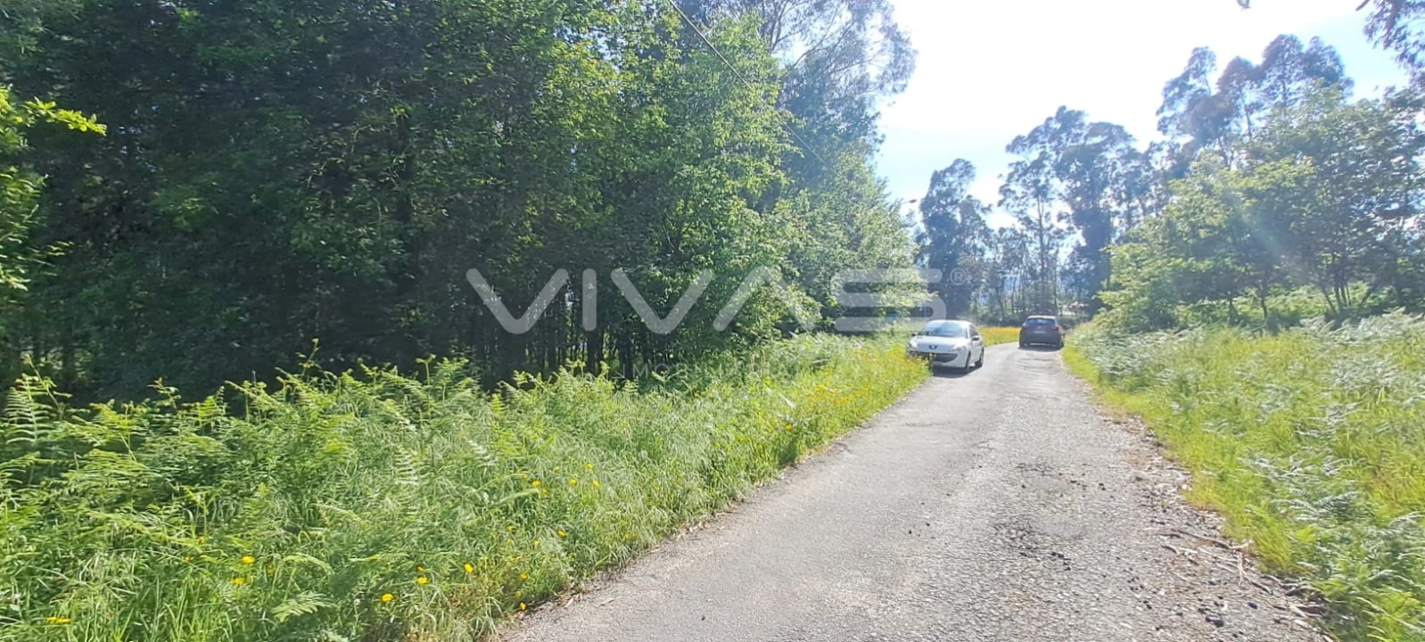 Terreno para Venda em Sande, Vilarinho, Barros e Gomide Foto 2