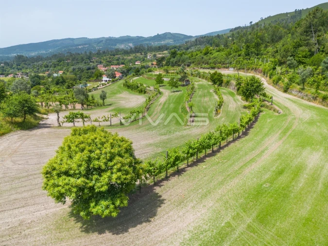 Terreno para Venda em Sande, Vilarinho, Barros e Gomide Foto 15