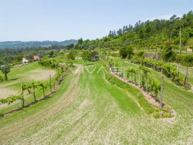 Terreno para Venda em Sande, Vilarinho, Barros e Gomide Foto 16