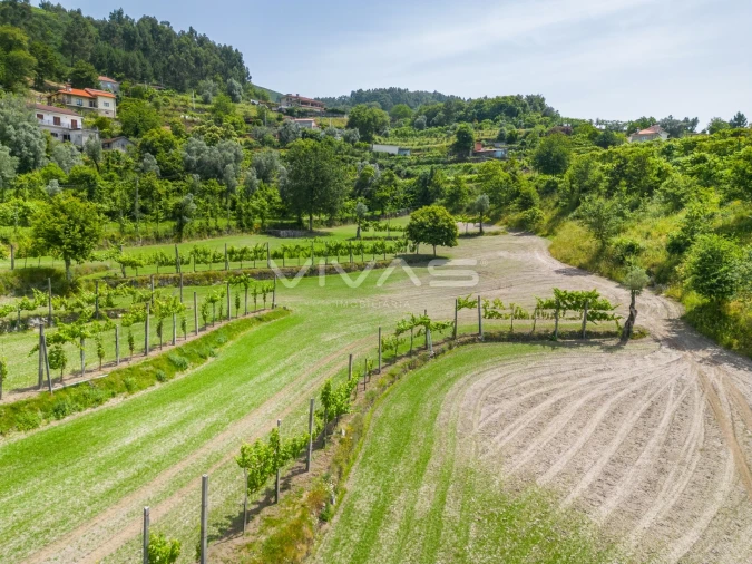 Terreno para Venda em Sande, Vilarinho, Barros e Gomide Foto 17