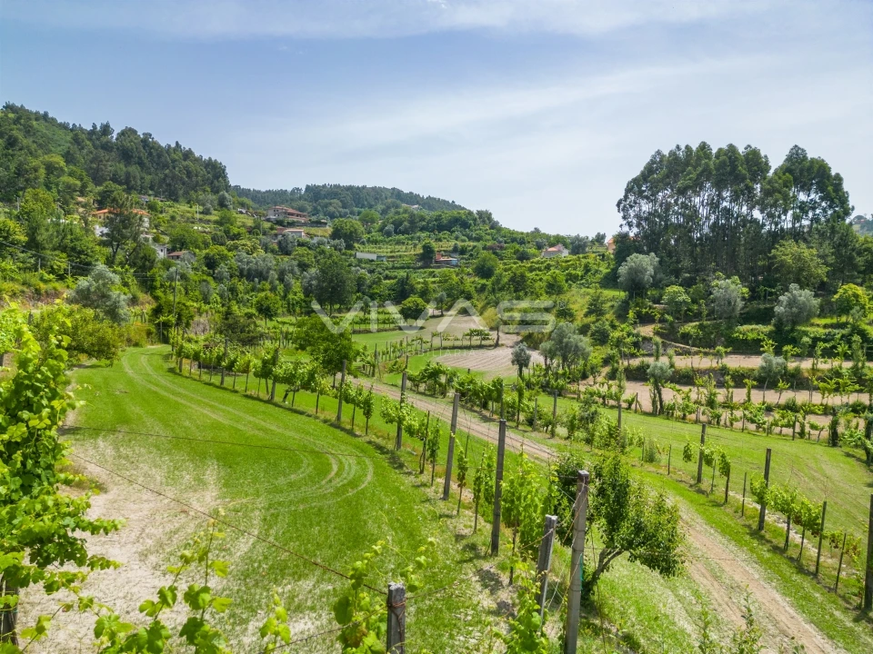 Terreno para Venda em Sande, Vilarinho, Barros e Gomide Foto 21