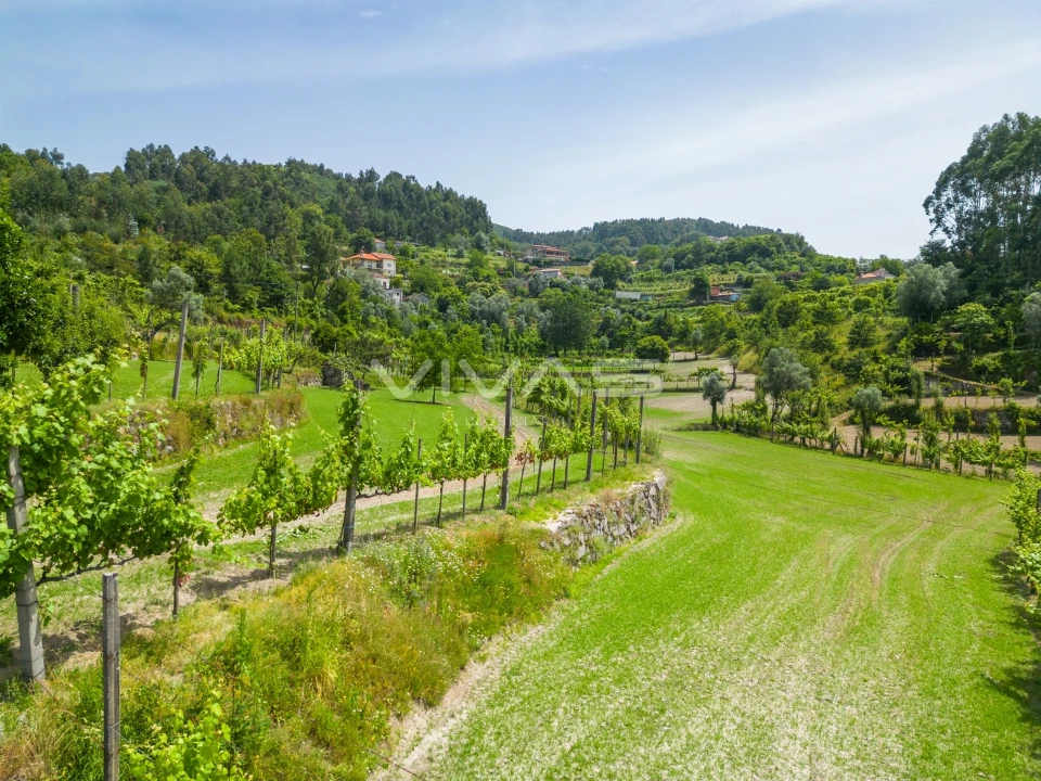 Terreno para Venda em Sande, Vilarinho, Barros e Gomide Foto 20