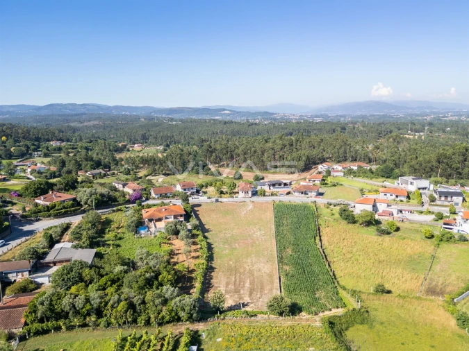Terreno para Venda em Cervães Foto 6