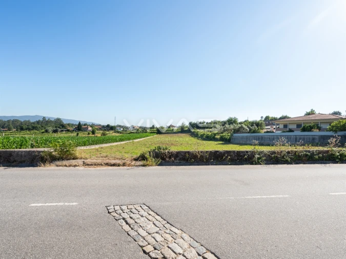 Terreno para Venda em Cervães Foto 19