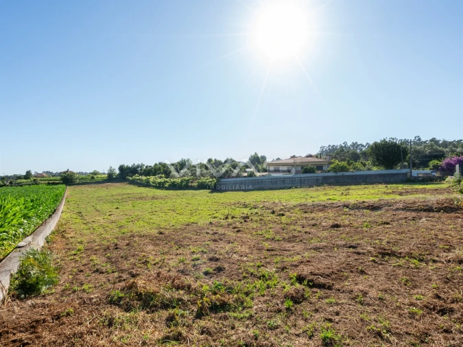 Terreno para Venda em Cervães Foto 17