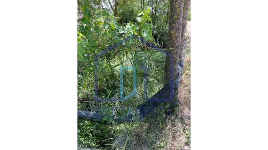 Terreno para Venda em Aguas Frias Foto 4