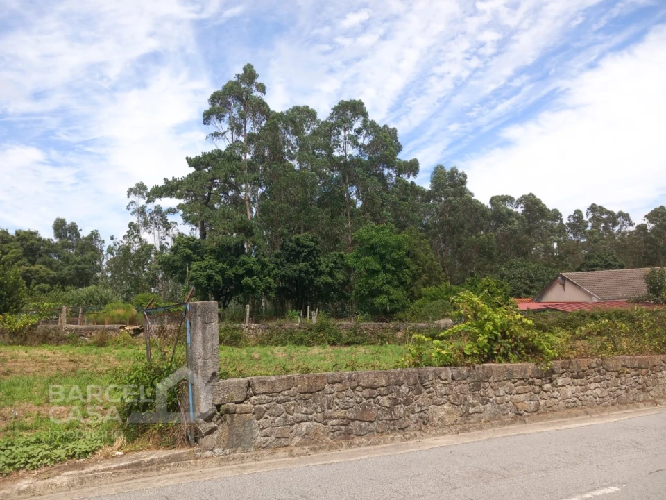 Terreno para Venda em Carvalhas Foto 3