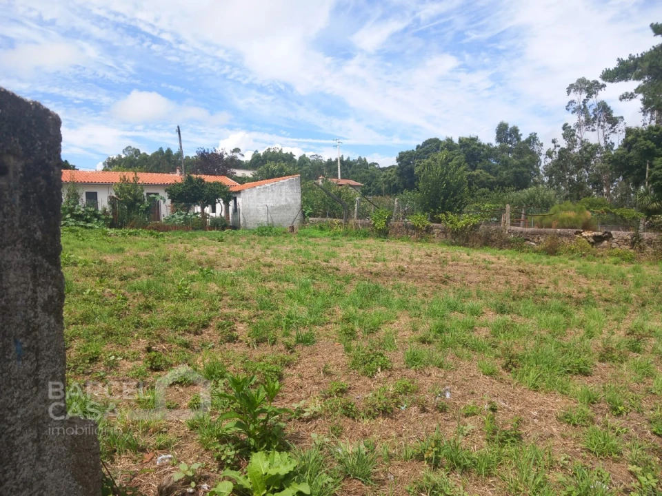 Terreno para Venda em Carvalhas Foto 5