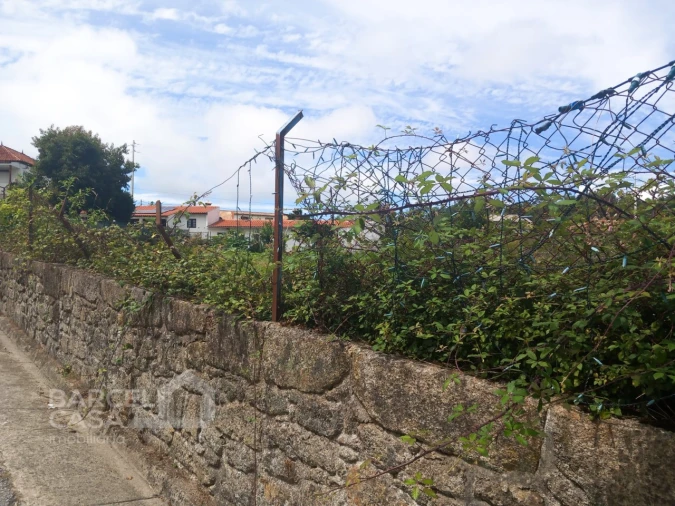 Terreno para Venda em Carvalhas Foto 9
