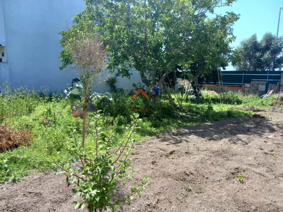 Terreno para Venda em São Bernardo Foto 6