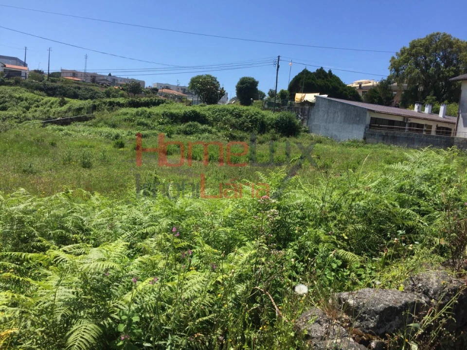Terreno para Venda em Branca Foto 2