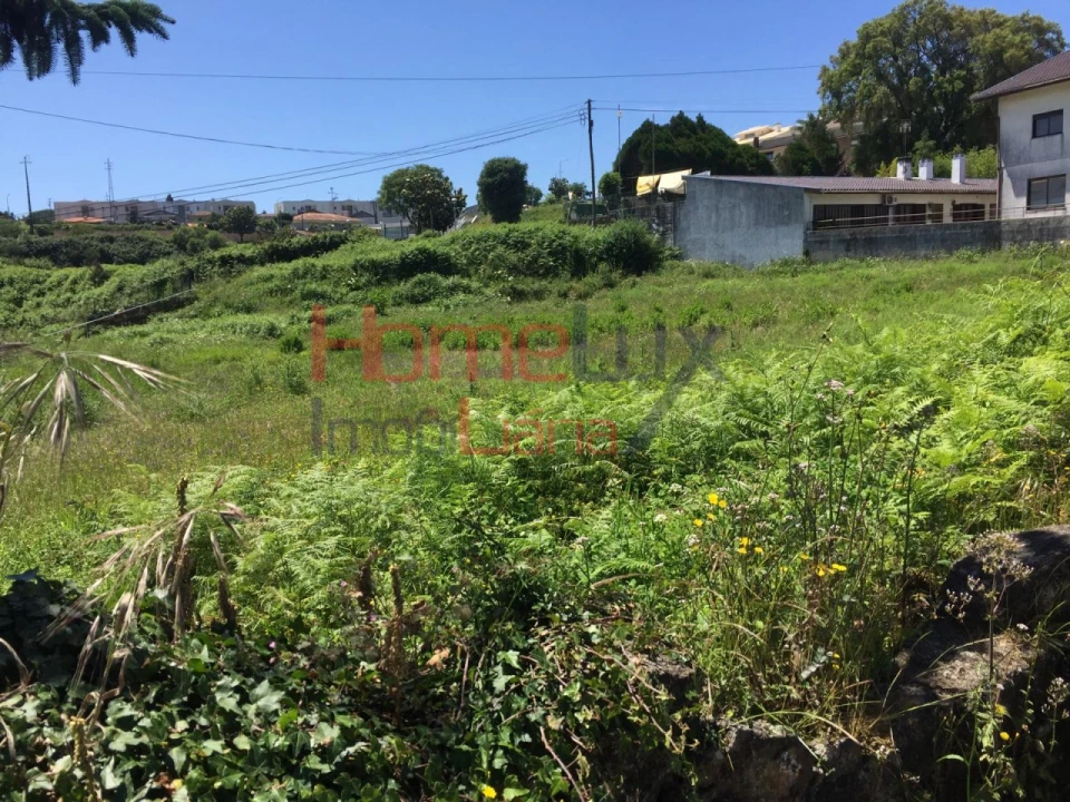 Terreno para Venda em Branca Foto 5