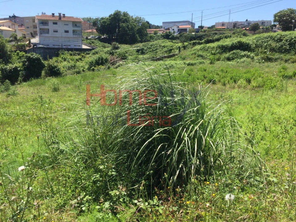 Terreno para Venda em Branca Foto 9