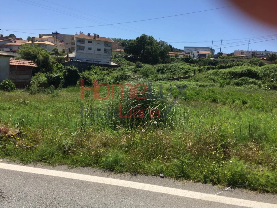 Terreno para Venda em Branca Foto 10
