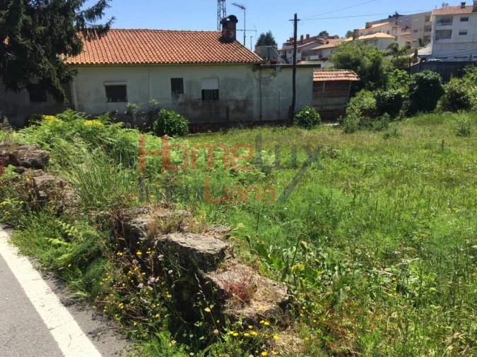Terreno para Venda em Branca Foto 8