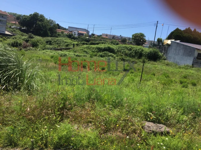 Terreno para Venda em Branca Foto 11