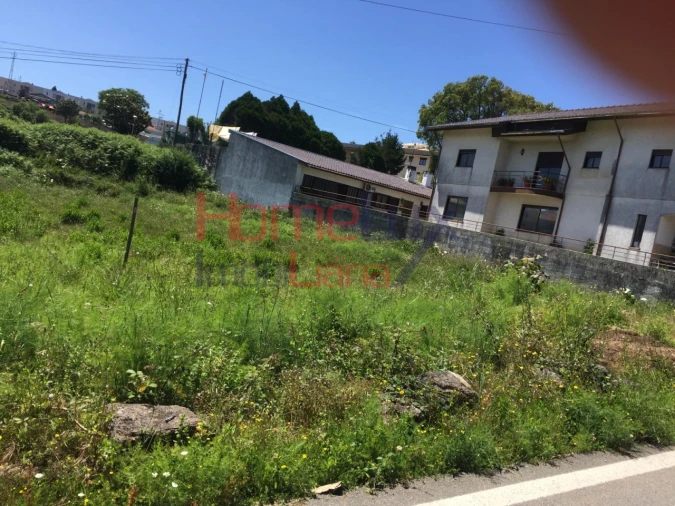 Terreno para Venda em Branca Foto 12