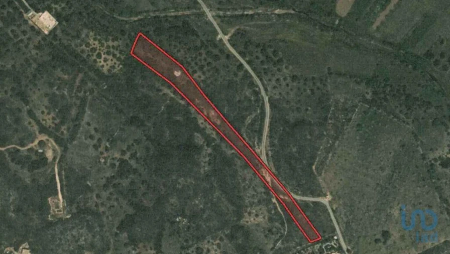 Terreno para Venda em Barão de São Miguel Foto 6