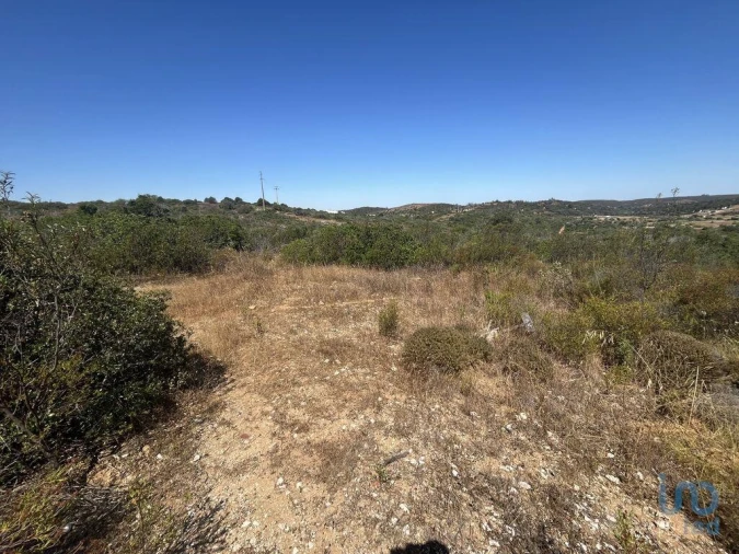 Terreno para Venda em Barão de São Miguel Foto 2