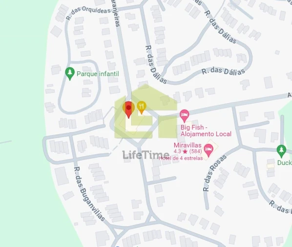 Loja para Venda em Praia de Mira Foto 4