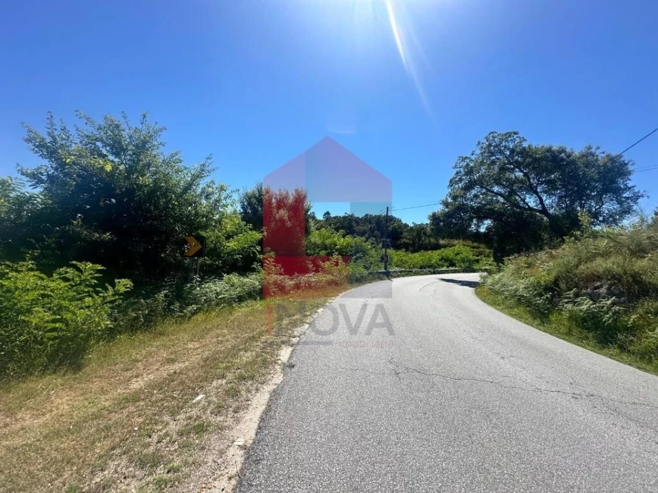 Terreno para Venda em Escariz (São Mamede) e Escariz (São Martinho) Foto 14