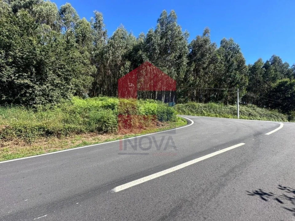 Terreno para Venda em Escariz (São Mamede) e Escariz (São Martinho) Foto 5