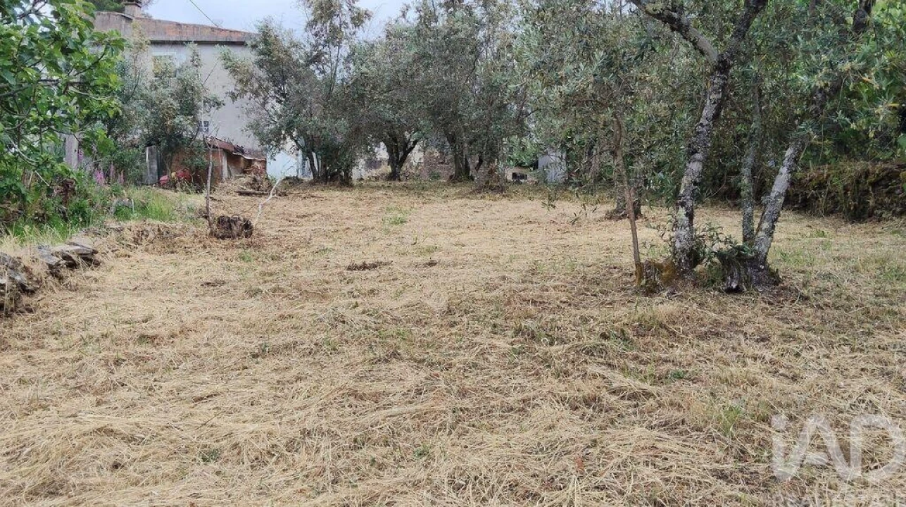 Moradia para Venda em Castanheira de Pêra e Coentral Foto 19