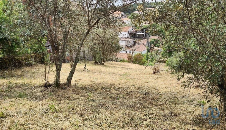 Moradia para Venda em Castanheira de Pêra e Coentral Foto 15