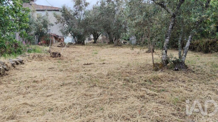 Moradia para Venda em Castanheira de Pêra e Coentral Foto 24