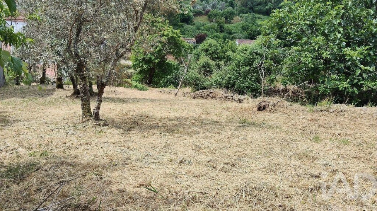 Moradia para Venda em Castanheira de Pêra e Coentral Foto 22