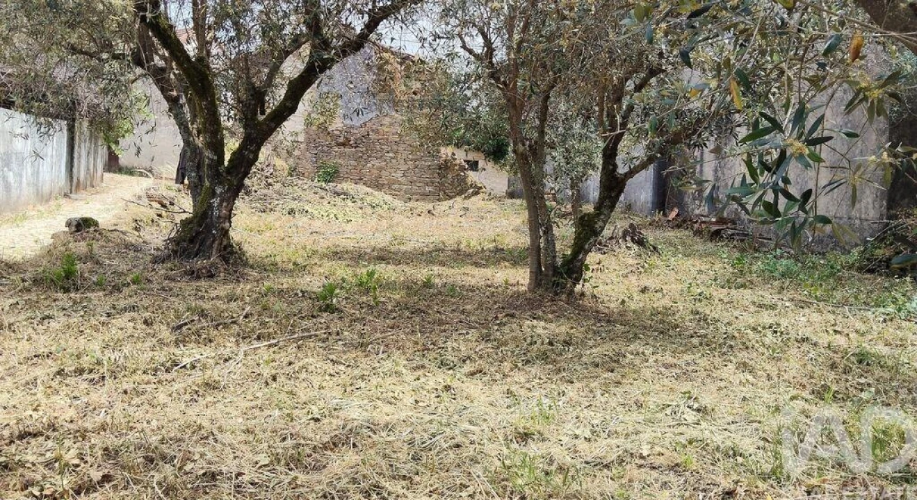Moradia para Venda em Castanheira de Pêra e Coentral Foto 16